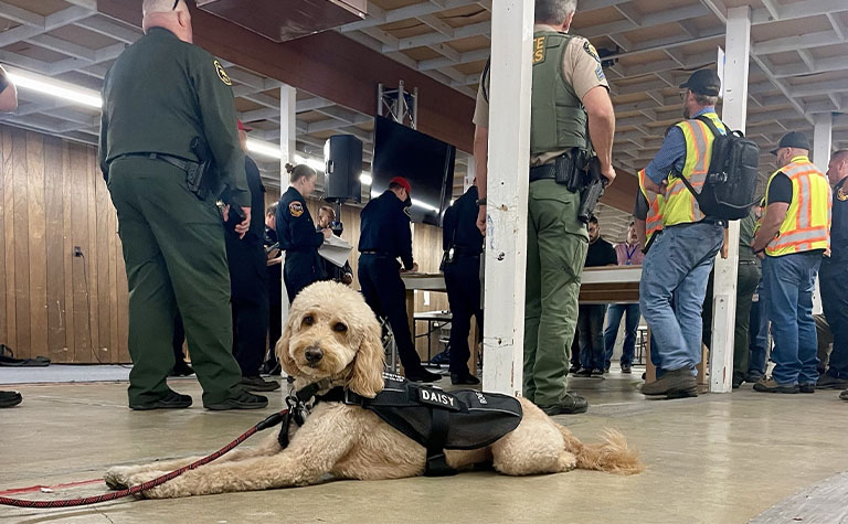 ROG the Dog visits first responders during the Park Fire.